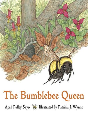 cover image of Bumblebee Queen